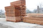 Molid Cherestea de construcţii |  Lemn moale | Cherestea | MP-HOLZ, s.r.o.