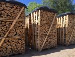 Lemn de foc Mesteacăn | Combustibil, lemn de foc | Coni alnus