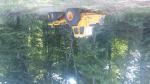 Transportor VOLVO 868  |  Tehnică forestieră | Echipament pentru prelucrarea lemnului | Adam
