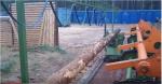 Alte echipamente Loupačka Kulatiny | Tehnologie de tăiere | Echipament pentru prelucrarea lemnului | Drekos Made s.r.o