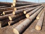 Buşteni de tăiat cu fierăstrăul
