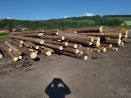 Molid Buşteni de tăiat cu fierăstrăul | Lemn moale | Buşteni | Peter Haladej