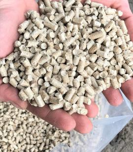 Molid