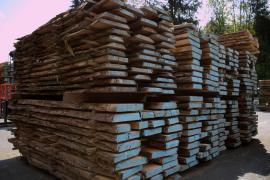 Salcâm Cherestea de construcţii | Lemn de esenţă tare | Cherestea | Wander Czech s.r.o.