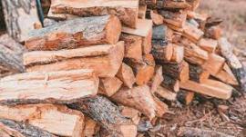 Lemn de foc Mesteacăn | Combustibil, lemn de foc | SCOPULUS Handels-und Dienstleistungs GmbH