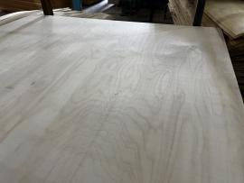 Placaj Rezistent la apă | Paneluri cu suprafaţă mare | Forestree