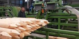 Alte echipamente Kompletn výroní Linka kulů . | Tehnologie de tăiere | Echipament pentru prelucrarea lemnului | Drekos Made s.r.o