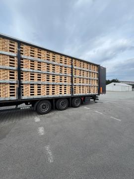 Paleţi Paleţi de unică folosinţă | Ambalaje, palete | Woodproo s.r.o.