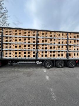 Paleţi Paleţi de unică folosinţă | Ambalaje, palete | Woodproo s.r.o.