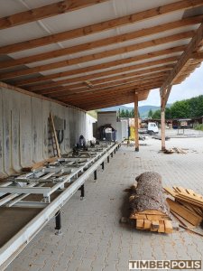 Gater dublu circular Walter TTPP-550 | Tehnologie de tăiere | Echipament pentru prelucrarea lemnului | Drekos Made s.r.o