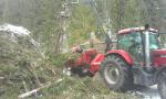 Alte echipamente Eschelbock Bieber 70, Case 255 |  Tehnică forestieră | Echipament pentru prelucrarea lemnului | ŠULEK FOREST, s. r. o.