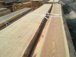 Frasin Cherestea de construcţii |  Lemn de esenţă tare | Cherestea | FCI