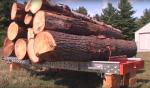Ferăstrău cu bandă Kanada -HD36 |  Tehnologie de tăiere | Echipament pentru prelucrarea lemnului | Drekos Made s.r.o