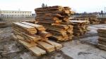 Stejar Bucăţi de lemn |  Lemn de esenţă tare | Cherestea | Bella Timber s.r.o.