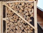 Lemn de foc Fag |  Combustibil, lemn de foc | 19th-Wood s.r.o.