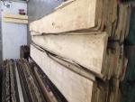 Tei Cherestea de tâmplărie |  Lemn de esenţă tare | Cherestea | JAF HOLZ Slovakia