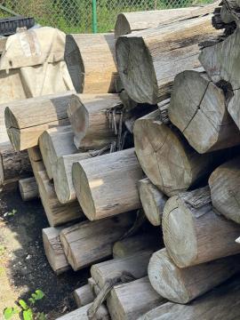 Tec Buşteni de tăiat cu fierăstrăul |  Lemn tropical | Buşteni | SOFT IT SP .ZO.O SPÓŁKA Z OGRANICZONĄ ODPO