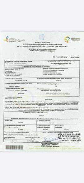Tec Buşteni de tăiat cu fierăstrăul |  Lemn tropical | Buşteni | SOFT IT SP .ZO.O SPÓŁKA Z OGRANICZONĄ ODPO