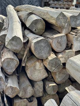 Tec Buşteni de tăiat cu fierăstrăul |  Lemn tropical | Buşteni | SOFT IT SP .ZO.O SPÓŁKA Z OGRANICZONĄ ODPO