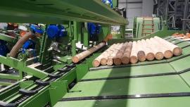 Alte echipamente Kompletn výroní Linka kulů . |  Tehnologie de tăiere | Echipament pentru prelucrarea lemnului | Drekos Made s.r.o